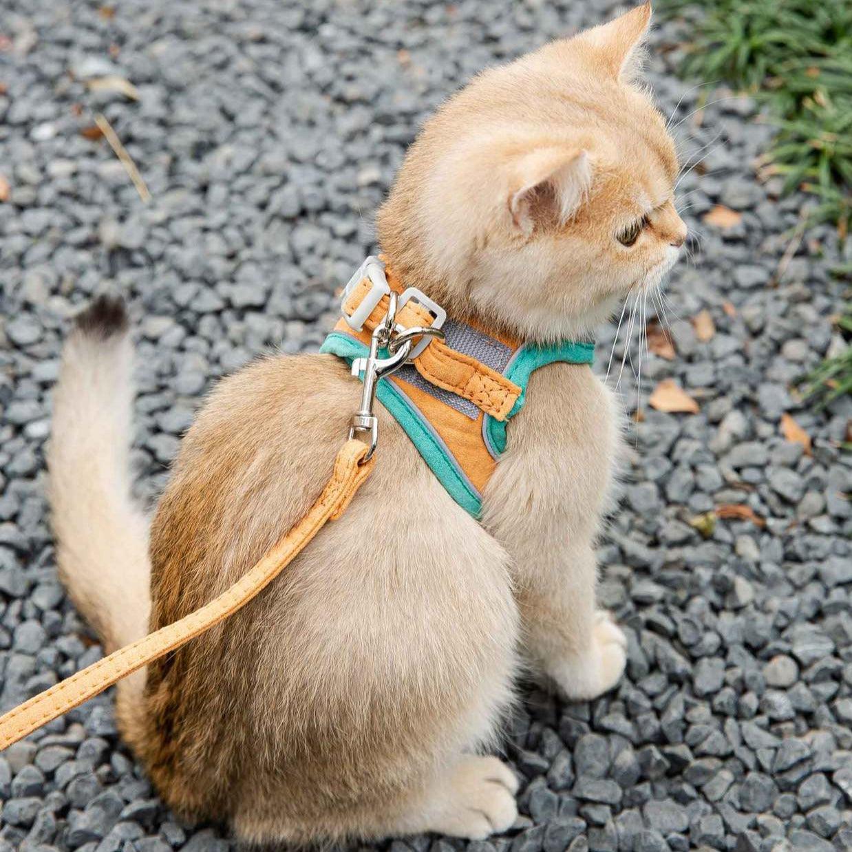 Coleira anti-fuga para gatos - Smart Cat