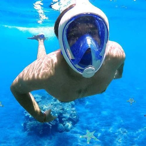 Safe Dive Snorkeling