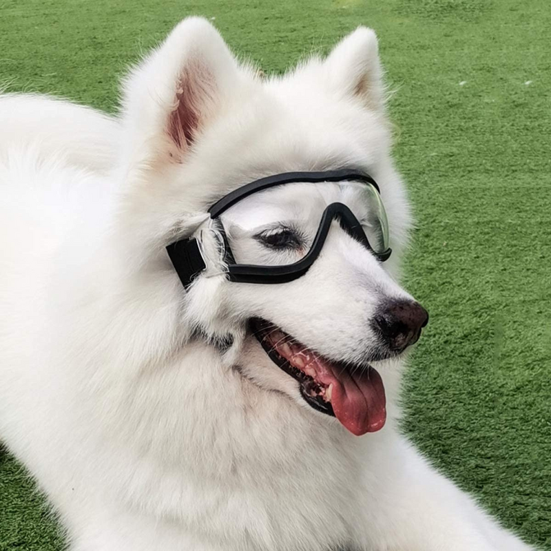 Óculos para Cachorros - Dog Goggles