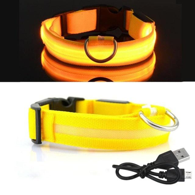 Coleira LED para Cachorro - Carregador USB