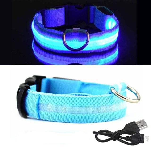 Coleira LED para Cachorro - Carregador USB