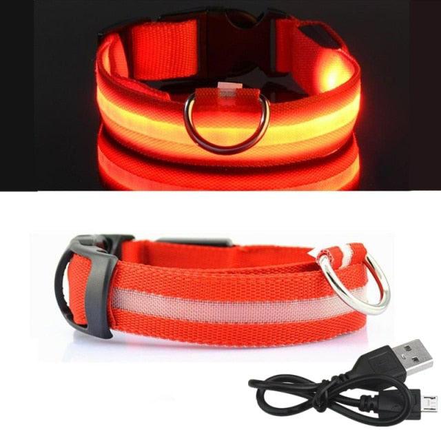 Coleira LED para Cachorro - Carregador USB