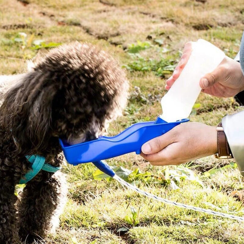 Bebedouro Portátil Dobrável para Cachorros e Gatos