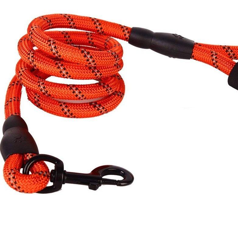 Guia para Cachorros - Dog Leash