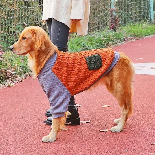 Roupa de Frio para cachorro - Blusão Hoopet