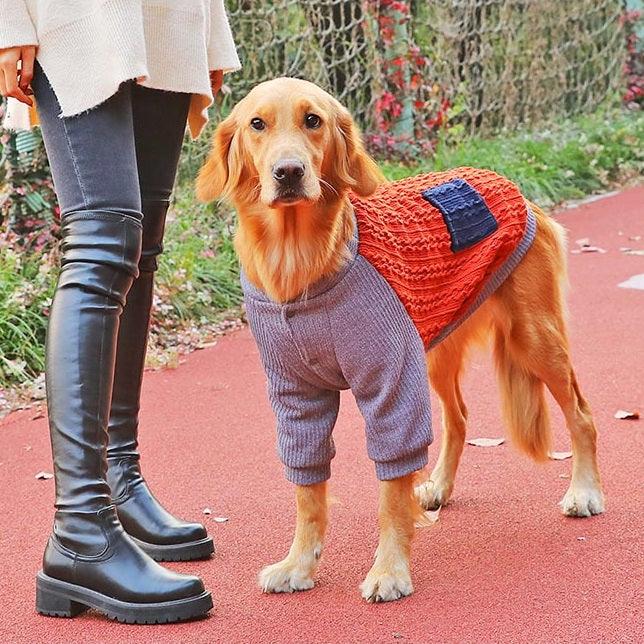 Roupa de Frio para cachorro - Blusão Hoopet