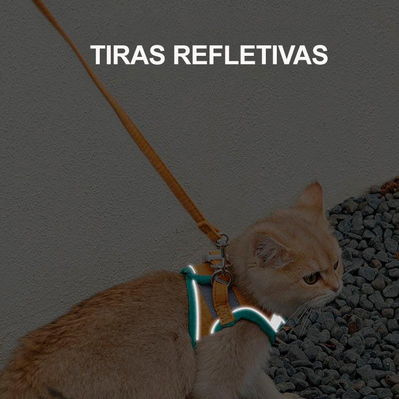 Coleira anti-fuga para gatos  - Smart Cat