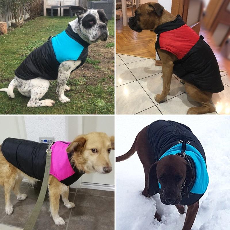 Colete de frio para Cachorros