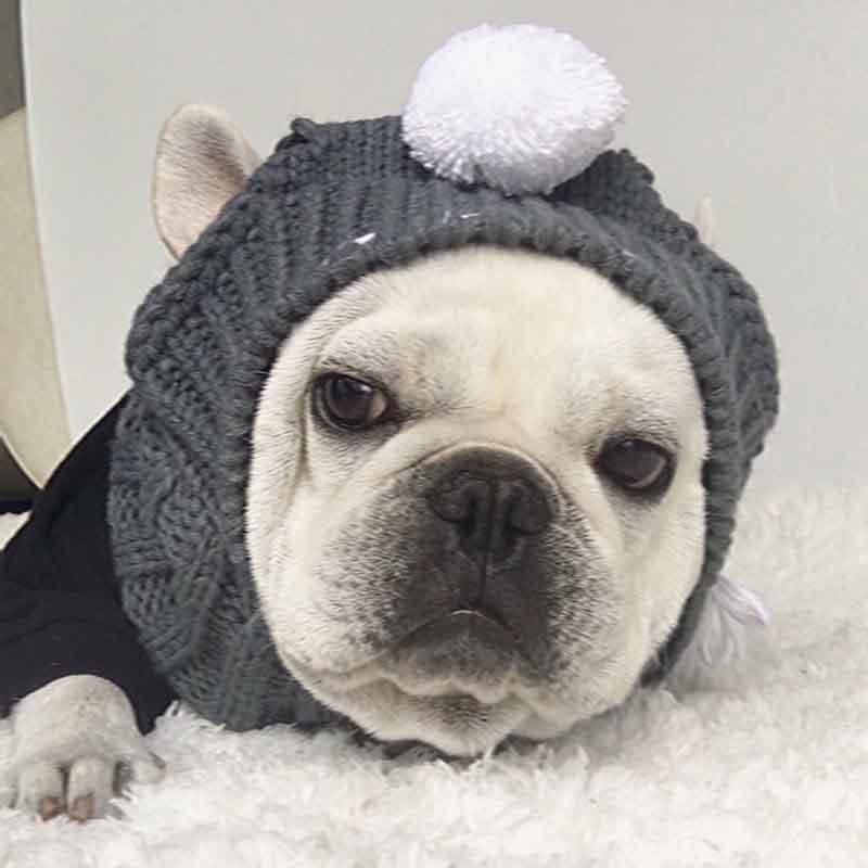 Gorro para cachorro - Pet Bob