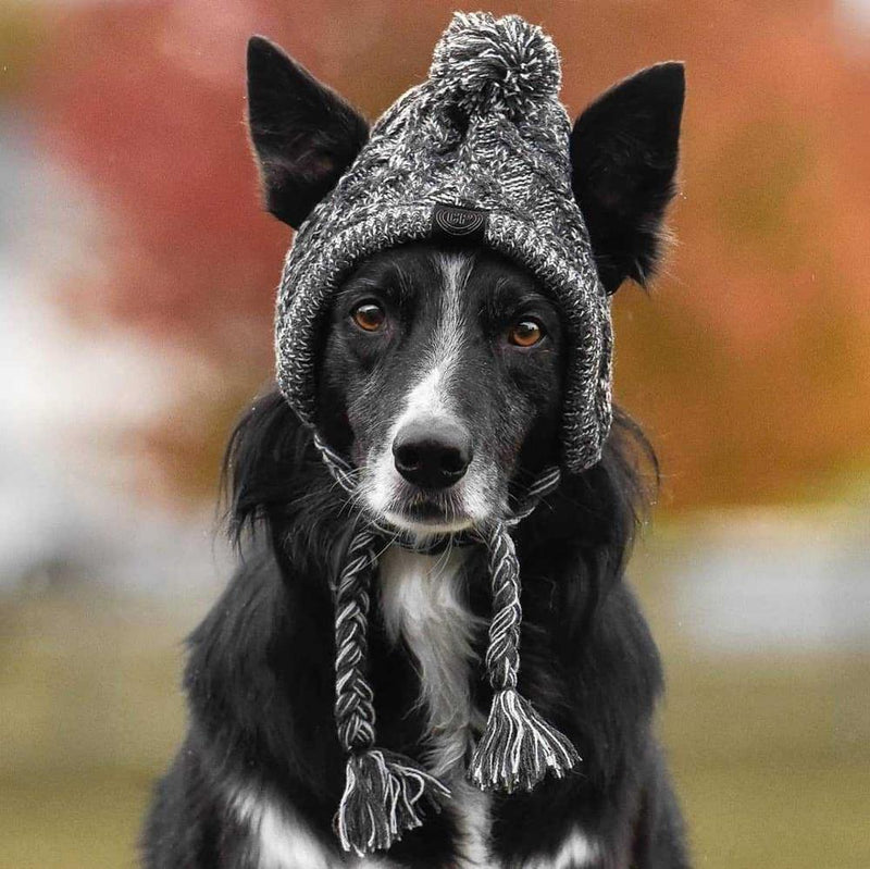 Gorro para cachorro - Pet Jack