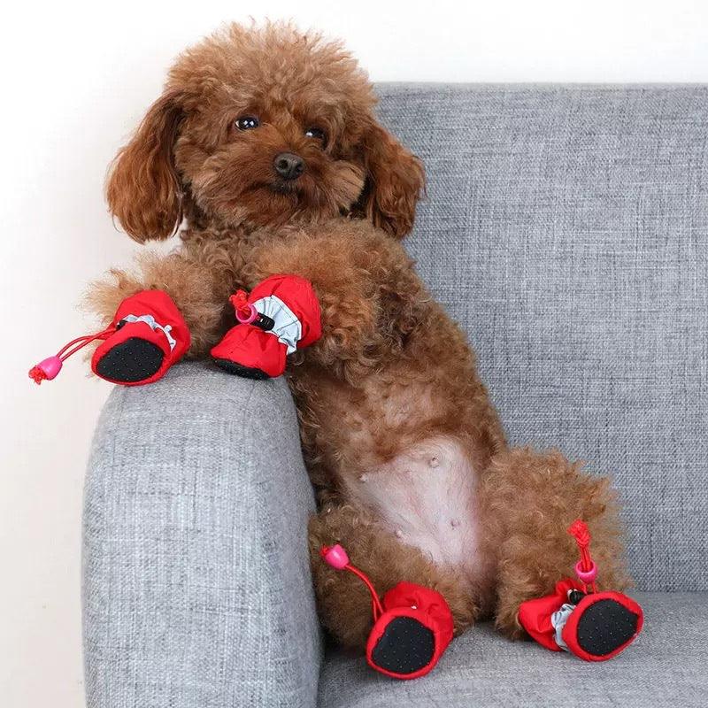 Sapatinho para Cachorro - Pet Booties