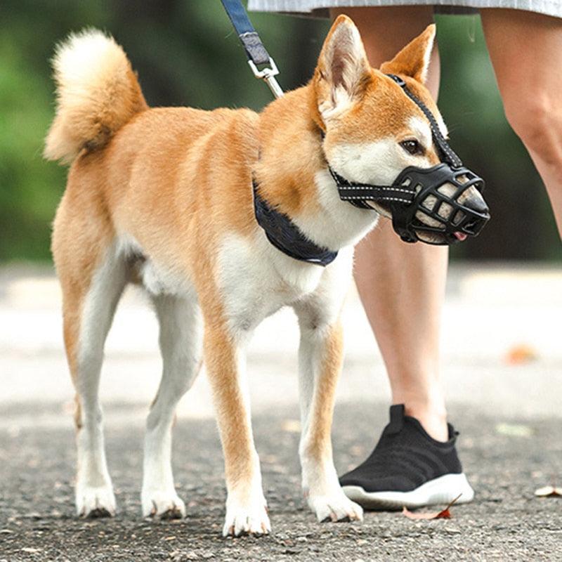 Focinheira ultra macia para Cachorros - Muzzle Soft