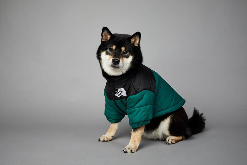 Roupa de frio para Cachorros - Jaqueta The Dog Fans