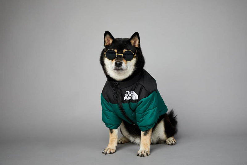 Roupa de frio para Cachorros - Jaqueta The Dog Fans