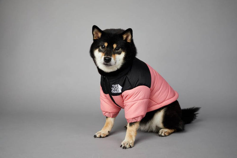 Roupa de frio para Cachorros - Jaqueta The Dog Fans