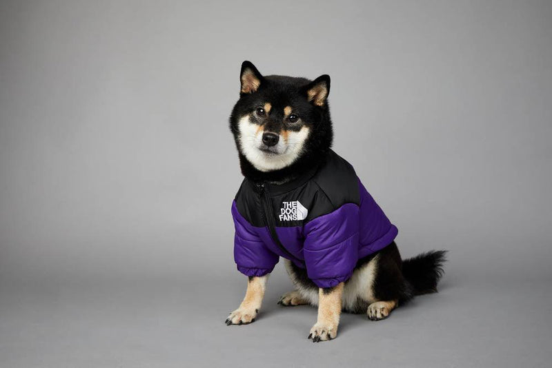 Roupa de frio para Cachorros - Jaqueta The Dog Fans