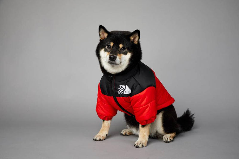 Roupa de frio para Cachorros - Jaqueta The Dog Fans