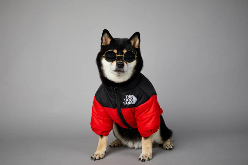 Roupa de frio para Cachorros - Jaqueta The Dog Fans