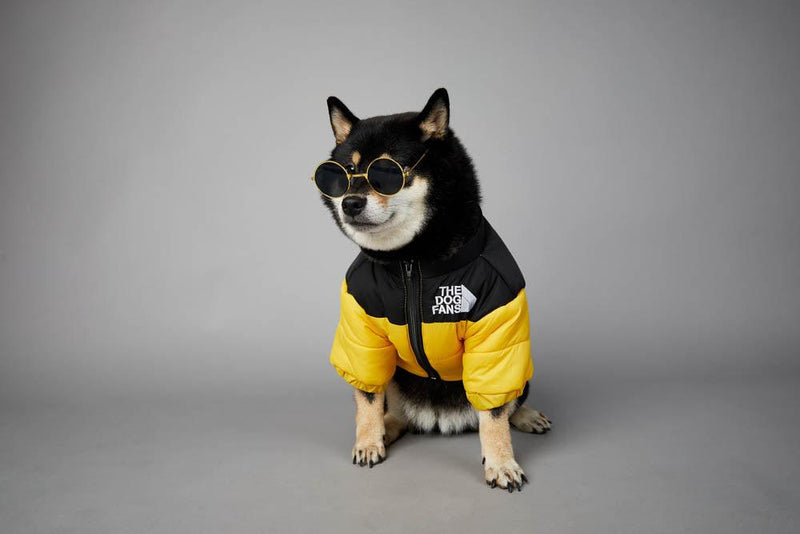 Roupa de frio para Cachorros - Jaqueta The Dog Fans