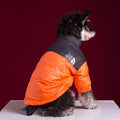 Roupa de Frio para Cachorros - Jaqueta The Dog Face