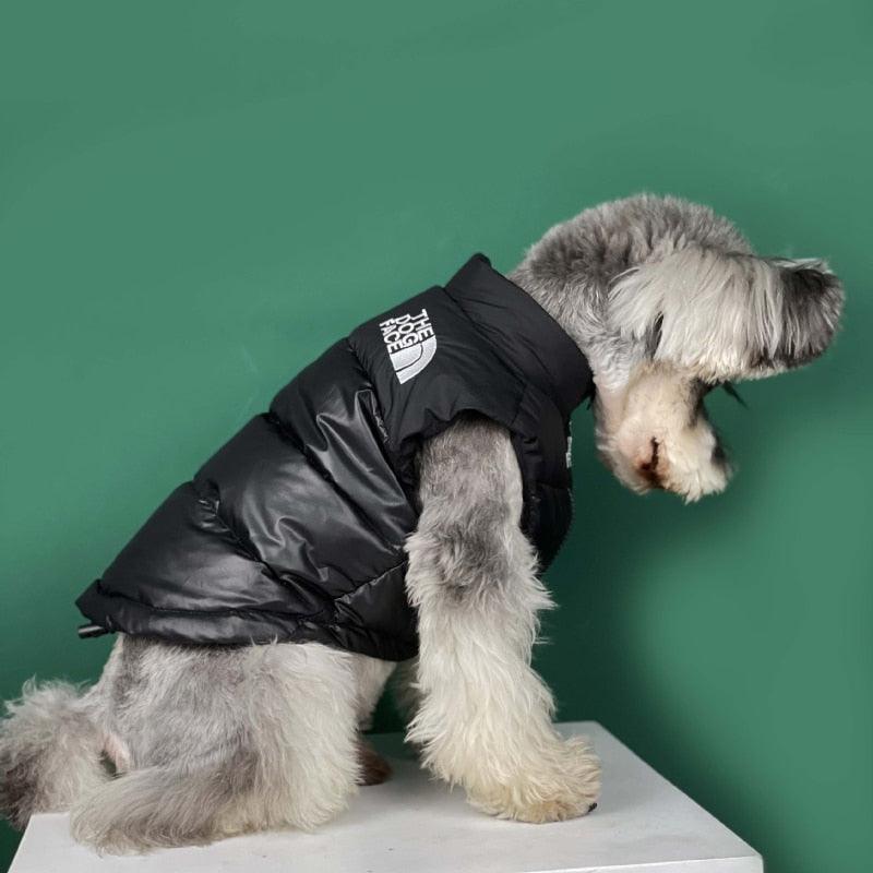 Roupa de frio para Cachorro - Colete The Dog Face