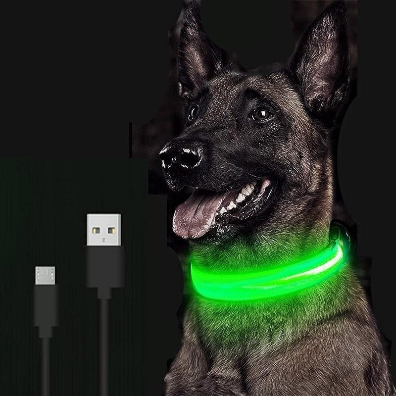 Coleira LED para Cachorro - Carregador USB