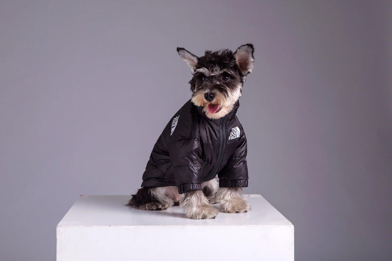 Roupa de Frio para Cachorros - Jaqueta The Dog Face