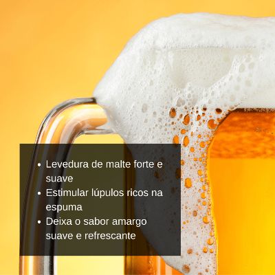 Chopeira Portátil Xiaomi Para Latas