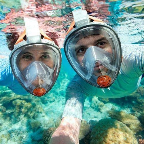 Safe Dive Snorkeling