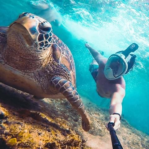 Safe Dive Snorkeling
